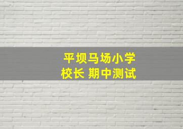 平坝马场小学校长 期中测试